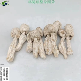 银耳;猴头菇;其他干货