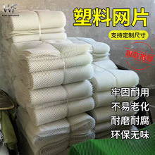 现货阳台防护塑料网格防坠家禽养殖网鸡鸭育雏网安全网格塑料网