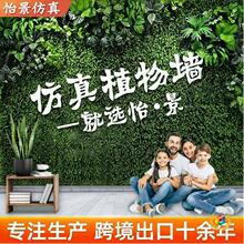 ?ֲ��쾰�b������ƺ�ٻ�����˾�̈����󠝸�������Gֲ