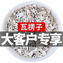 瓦楞子 中药材 天然纯新货 锻瓦楞子 瓦屋子 瓦垄子 蜡子壳 500g