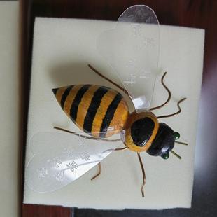 �������x�Ӕ[���۷�������߃�ͯ������ι�ˇƷ