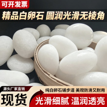 精品白卵石铺路景观石头工厂批发造景多规格工厂直销白色鹅卵石