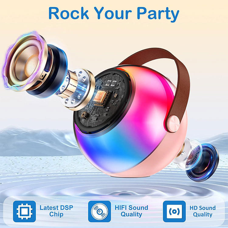 Bluetooth Speaker Portable with Amplifier Mini Karaoke Microphone Speaker Wireless Processing and Customization