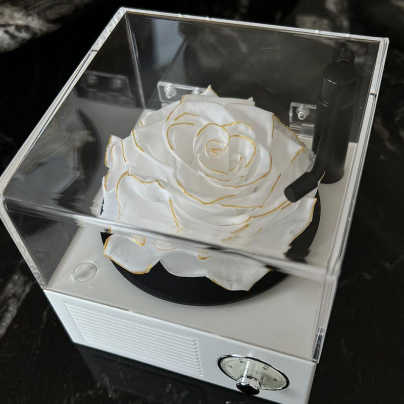 Flor eterna fonógrafo Luz de gama alta de lujo altavoz Bluetooth Rosa caja de música Regalo de Cumpleaños de los hombres para la novia