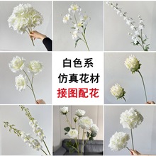 �¿��ɫ��c���滨���lõ��ĵ����Y���bٻ�����b����[��