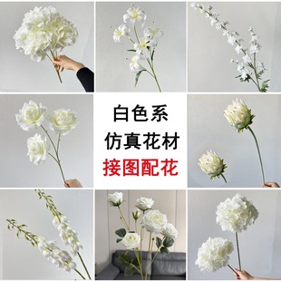 �¿��ɫ��c���滨���lõ��ĵ����Y���bٻ�����b����[��