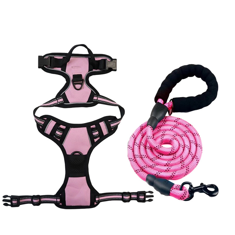 Pink [strap + leash] set