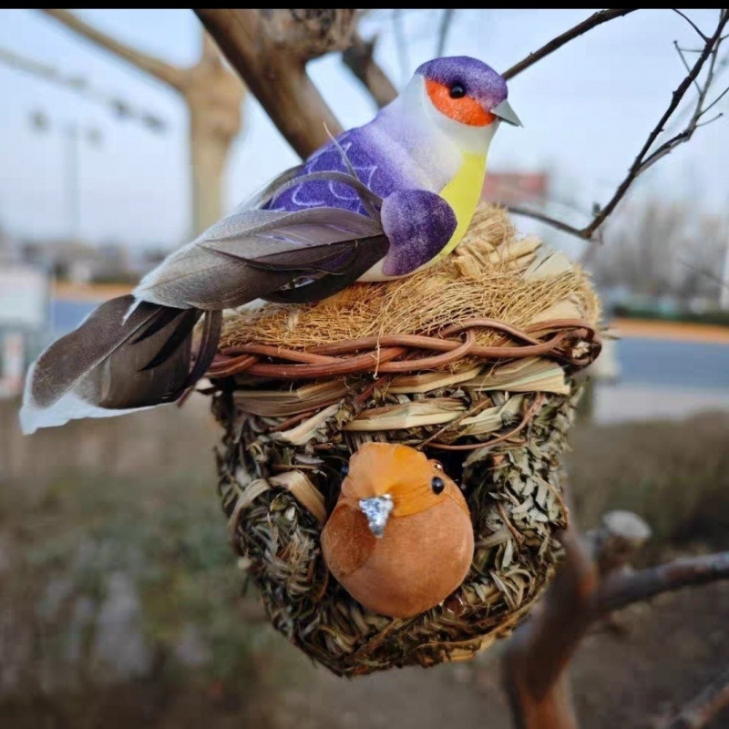 용풀 새둥지와 통통한 새와 주황색 새