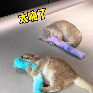 ؈��������˽␞��؈�����Ľ�u��С؈�����w������ĥ�����ﱧ��