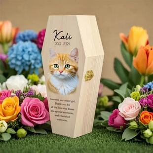 Cross-Border Spot DIY Printed Photo Hexagonal Pet Urn Kitten Puppy Cremation Photo Frame Wooden Funeral Box
