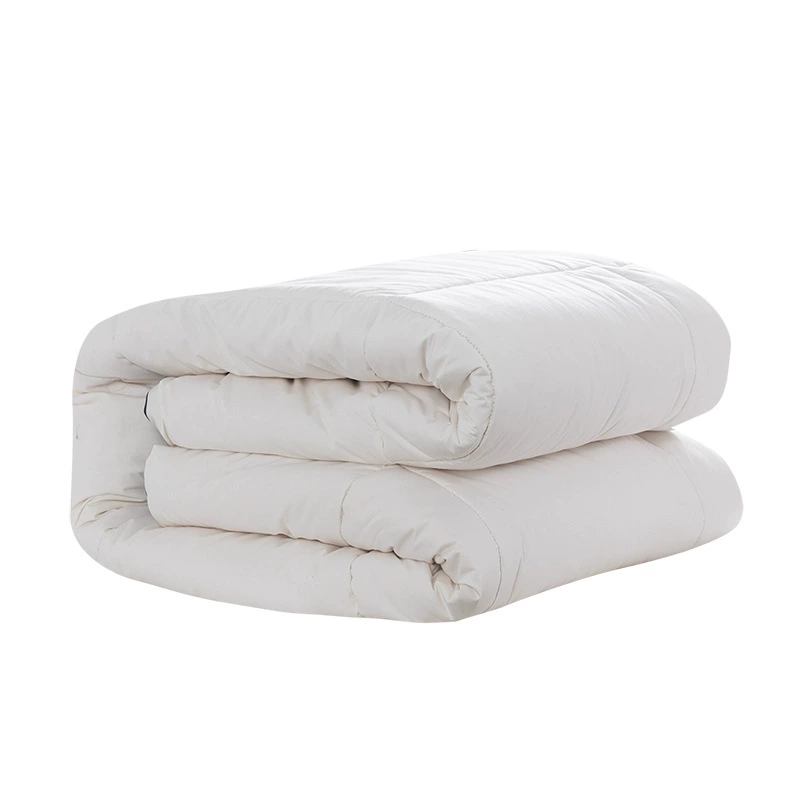 Одеяло для отеля, бархатное одеяло с перьями, осенне-зимнее одеяло, утолщенное теплое одеяло, подарочное одеяло для групповой покупки, оптовая доставка