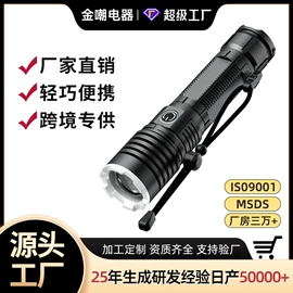 手电筒;头灯头戴电筒;电子灭蚊器