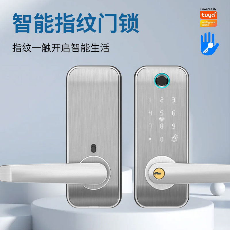 跨境外贸室内木门办公家居卧室密码房间门 涂鸦通通指纹智能锁
