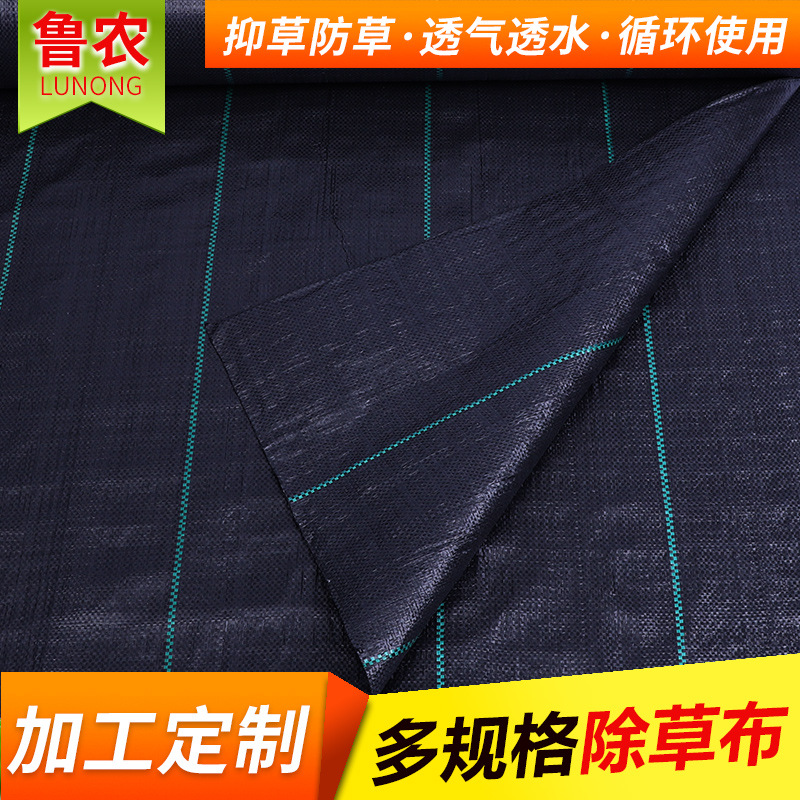 鲁农大棚园艺除草布透气防草布农用防草地布黑色遮草布果园抑草布