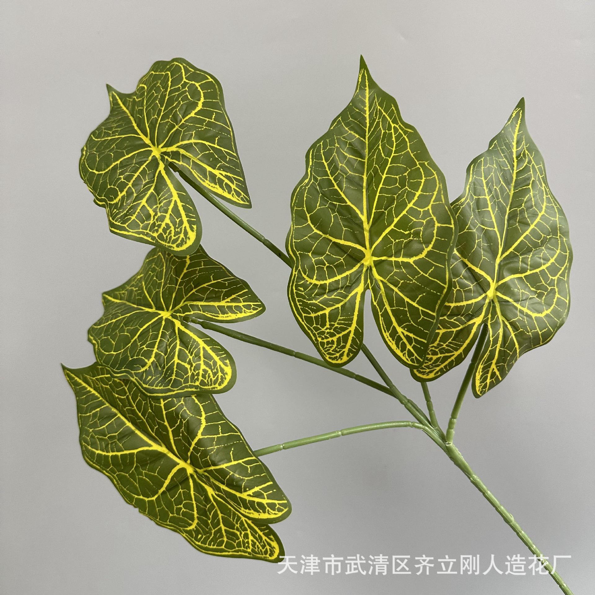 칼라 백합 잎 5개 1