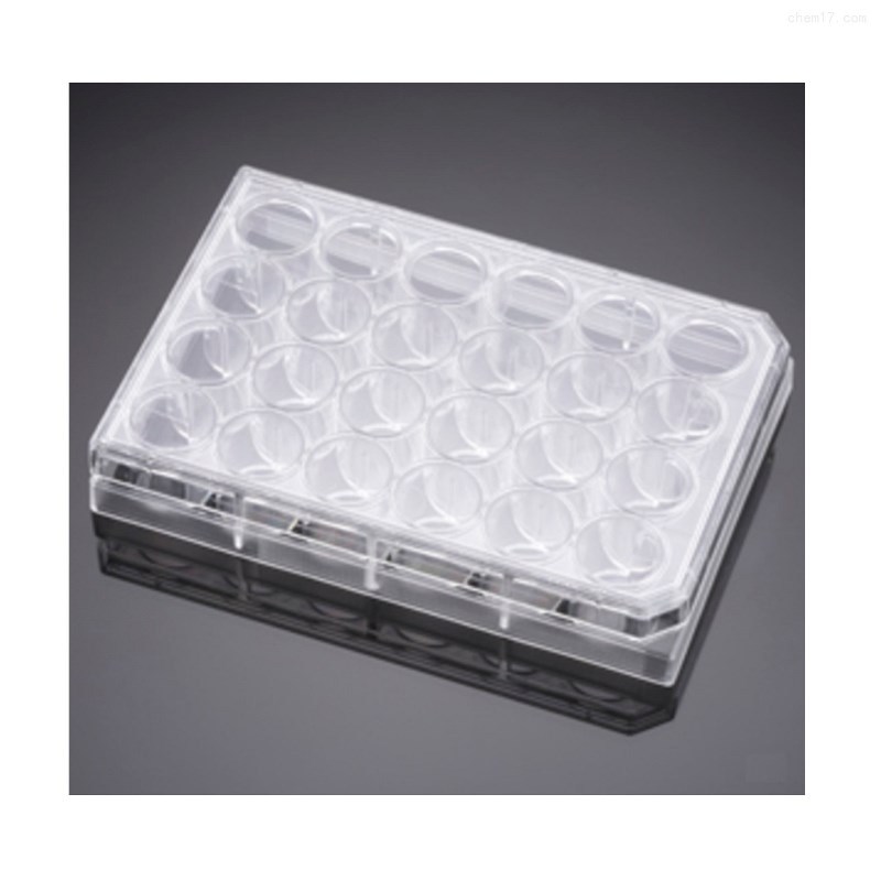 Falcon  353043  12孔透明平底多孔细胞培养板