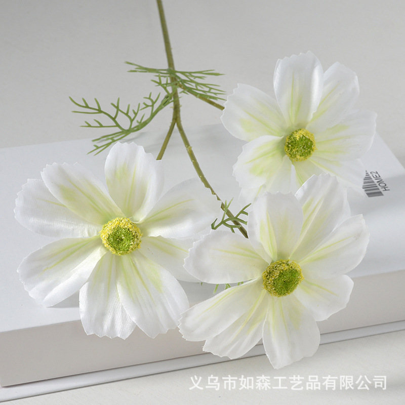 3 heads of film gesang flower