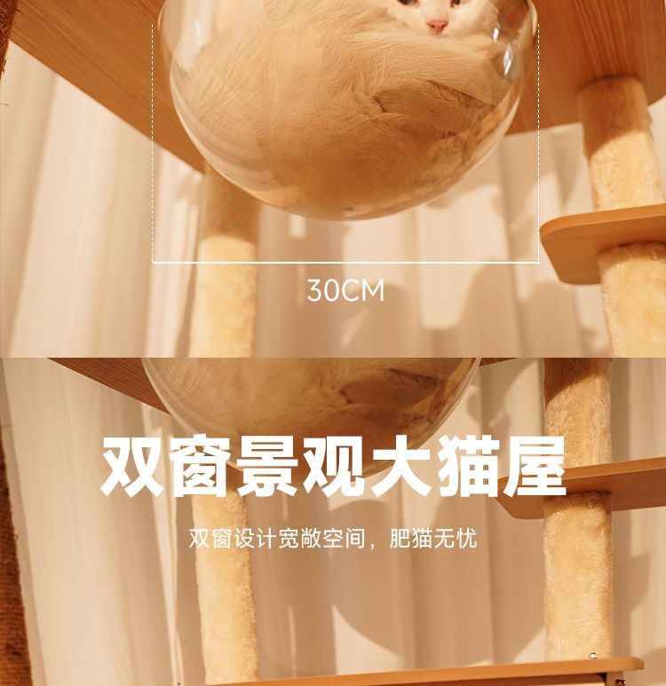 a683c08a-c7f7-4413-bb2c-6799cbdd6a0c.jpe