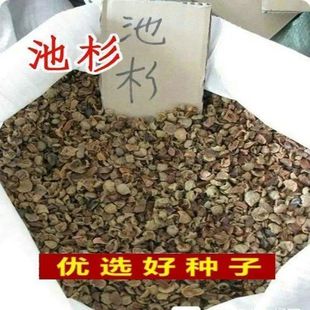 ����ɼľ��N ˮɼ��N��  ��ɼ ��N���ɼ ��ɼ�G����N��