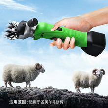 ��Э�������綯�������߳����ë���ɵ��ٹ�Ӧ�綯��ë����ë׶��