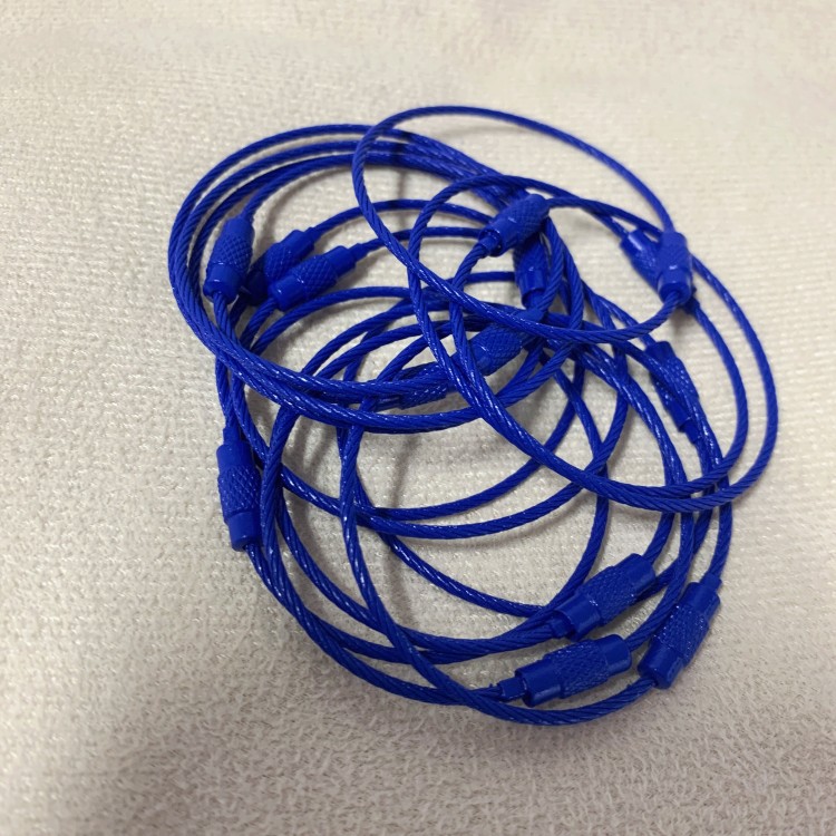 メーカー直営キャンディー色のキーホルダーカラー塗装亜鉛メッキワイヤーロープ