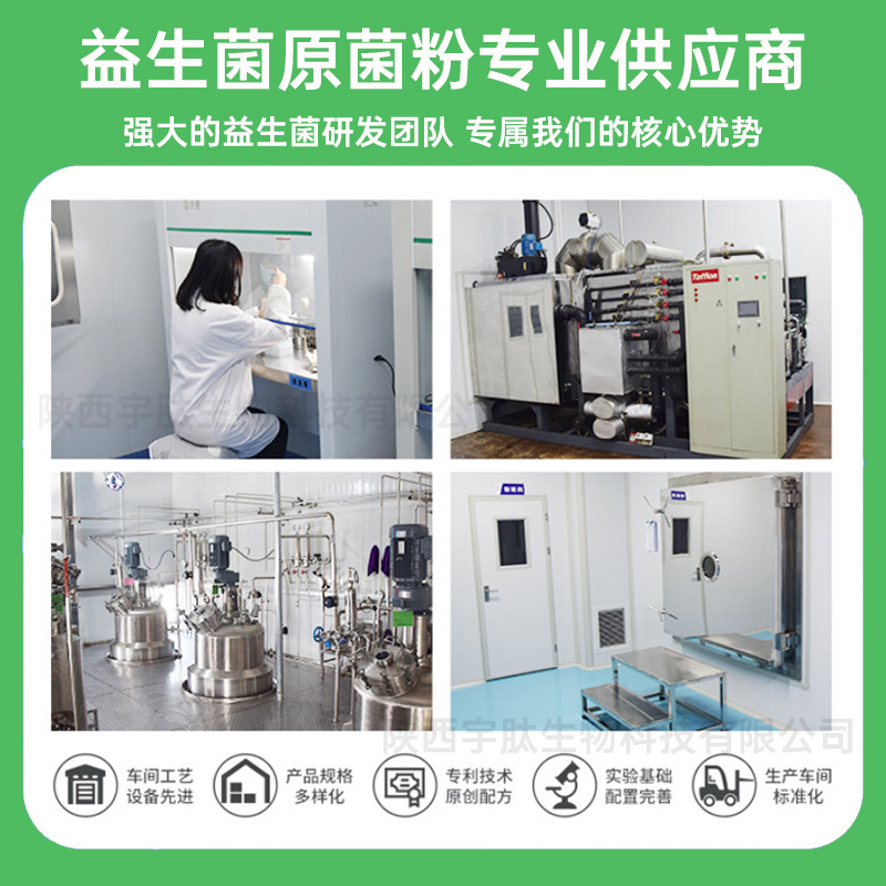 Gallery 2
