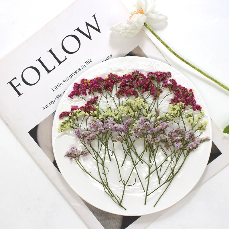 Кристаллическая трава сушеная с тиснением образец растения ручной работы DIY капает для телефона корпус фоторамка фон декоративная роспись ногтей