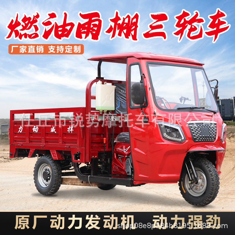 África venta caliente de tres ruedas de motocicleta de combustible de carga agrícola volcado volcado de carga de motocicleta personalizada rey