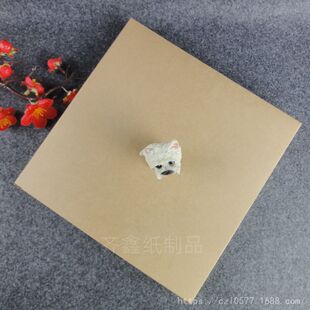 400��ţƤ���F؛21x21x2.3cm�������b��12x12x1.6������