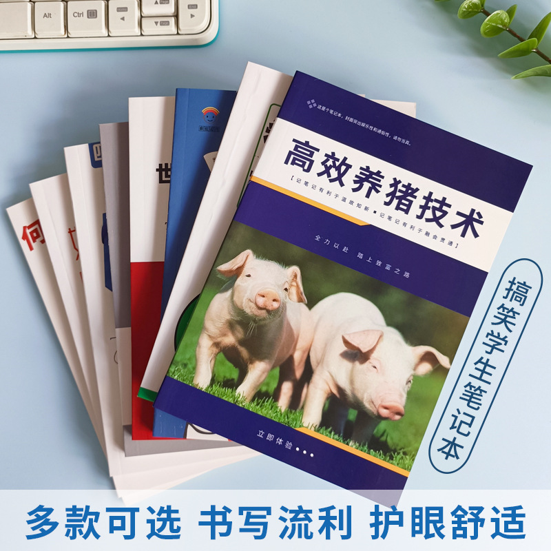 创意搞笑笔记本表情包个性搞怪封面记事本学霸高考总复习学习养猪
