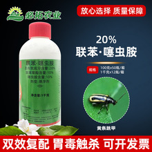 20%x{Slךxxrșِ֬x@