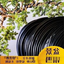 �辰�������z�_�h�������X���@�֘������Ͷ������F�zܛ�X�z�@ˇ��