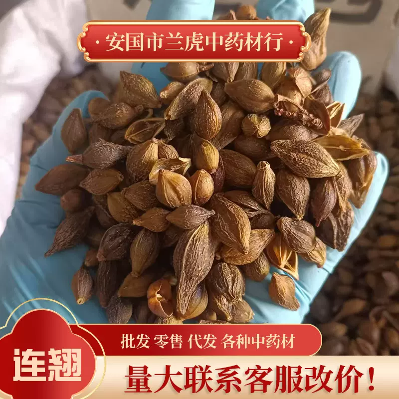连翘中药材无硫烘干500g大量批青翘莲翘连翅莲翅青连翘新货批发