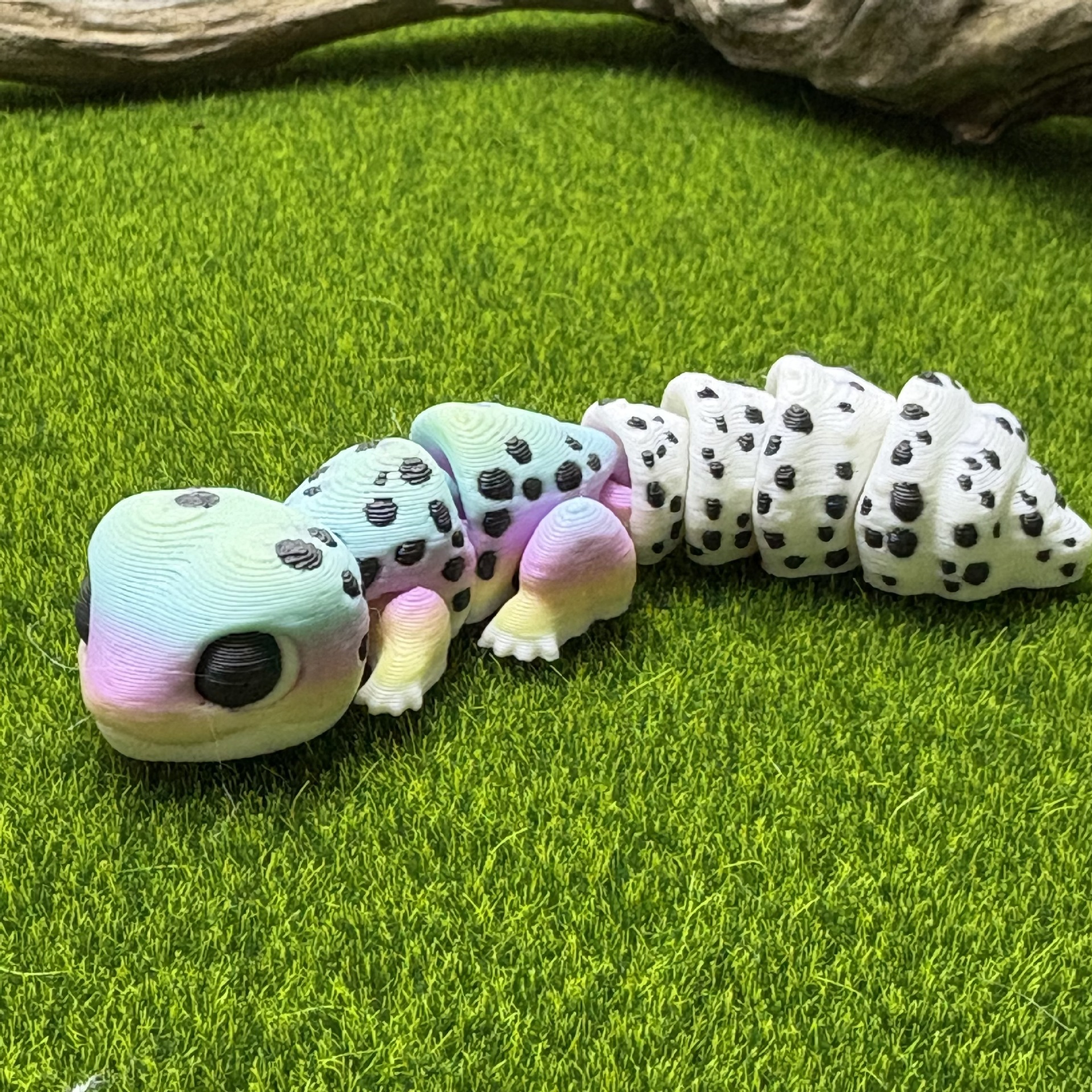 무지개 (색상 랜덤) 아기 도마뱀붙이