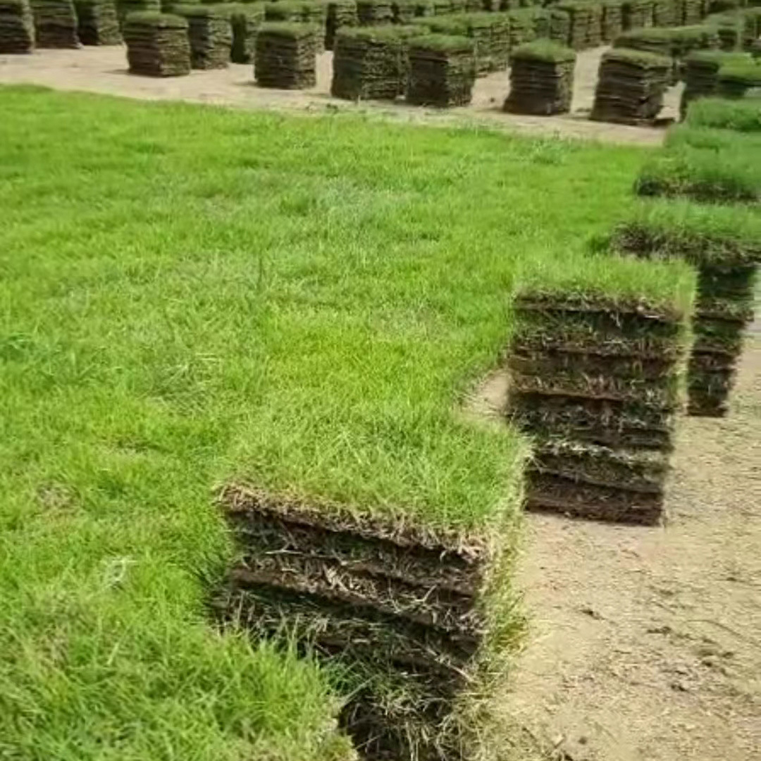 612ae611b49f75c46839d85c4ce4db