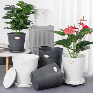 �p�ݘ�֬���z�߿�A�������豱�W�Ӻ��ڏ������B������Gֲ����