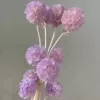 Taro purple