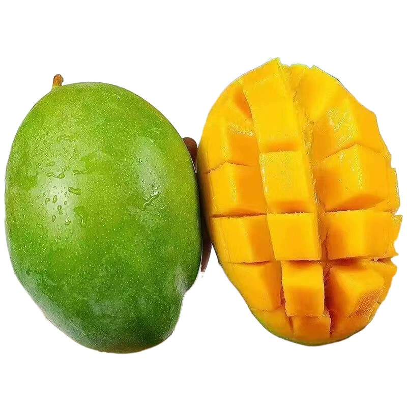 Сычуань Кейт Манго Сезонные фрукты Манго Бесплатная доставка Свежие фрукты Кейт Манго Прямая поставка