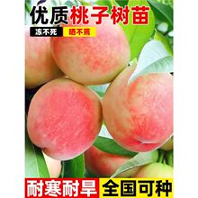 ˮ���Ҙ����ӳ˪�tѪ�Ҹ߮a���ӹ��玧�����~�ϱ����Nֲ�����ȫ