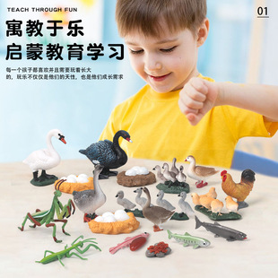 ��ͯ�������ģ��Ұ���������z�������Z��뺣����߱�������ģ��