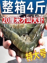 青岛大虾鲜活超大冷冻海捕大虾对虾鲜鲜冻虾大大虾海鲜非基围虾