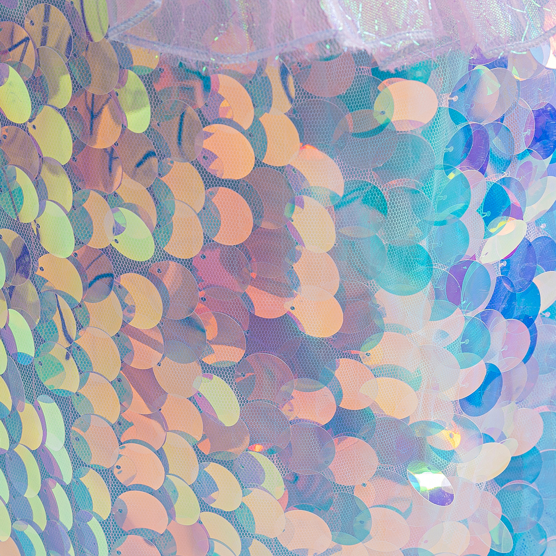 _MG_9981.jpg