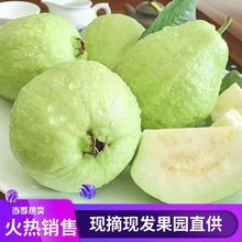 ���ϰ��İŘ���ʯ������쑪�����r����ˮ������ˬ�����鷬ʯ��