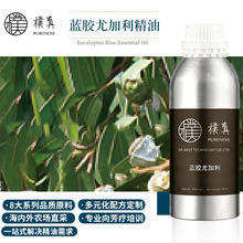 樸真蓝胶尤加利精油 印度单方精油原料批发芳疗护理调香精油