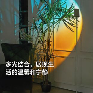 �羳��Ʒ���H������ɫ�ƕ�Ϧꖟ�������W�t���������ҷՇ���؟�