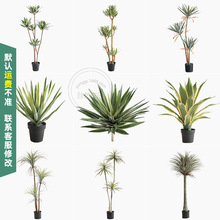 �����J�C�����m����ɳ��ֲ��С�þGֲ��ֲ��Ҿ��T���쾰ɳĮ����
