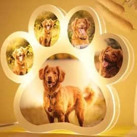 跨境个性化照片宠物狗猫爪D制图片USB平板灯节日礼物摆件LED夜灯
