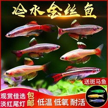 ���ƽ�˿����ˮС��ԭ�������㲻���¹����ͻ��β�ƿư���