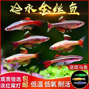 ��녽�z�~��ˮС��ԭ���~���~���Ӝ��^�p�ͻ�tβ���ư���