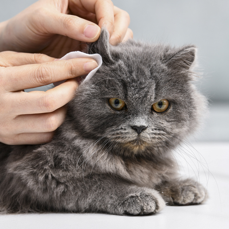 Toallitas para ojos de mascotas, toallitas desechables para perros y perros, limpieza para oídos, toallas para oídos
